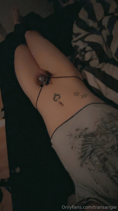 Transangie high quality pornstar photos