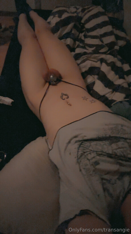 Transangie free pornstar images