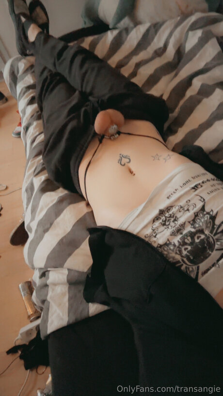 Transangie free star picture