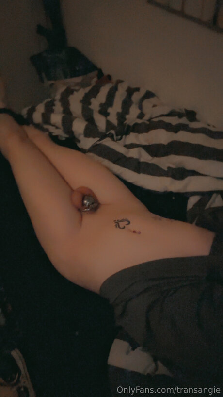 Transangie nude star gallery