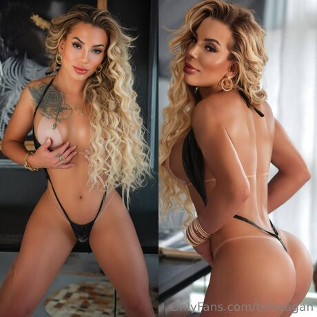 Tsmeagan star art image