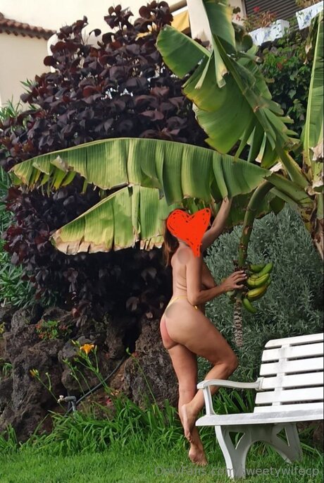 Sweetywifecp model pornographic image