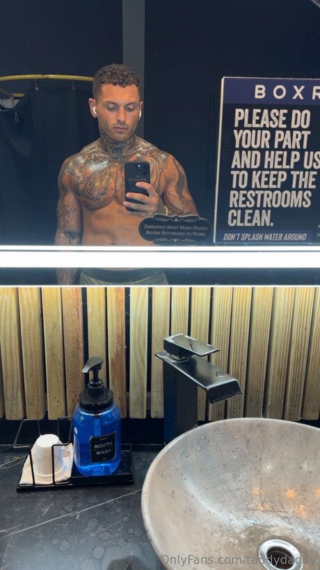 Taddydaddy high quality star gallery