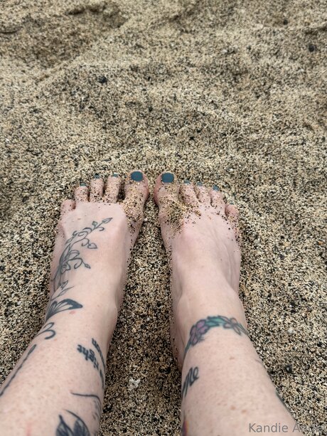 Tattedraiderette art star galleries