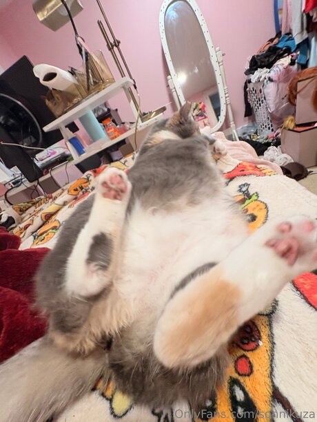 Sonnikuza hot model galleries