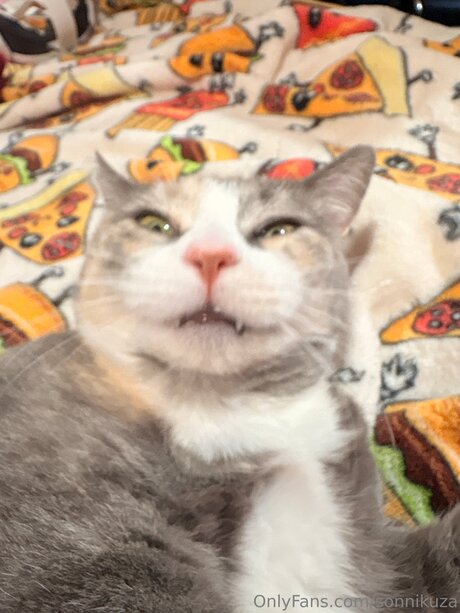 Sonnikuza erotic star galleries