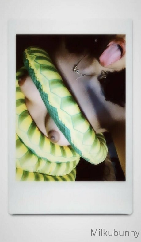 Milkubunny free pornstar pictures