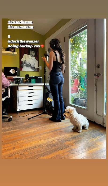 Laura Marano naked pornstar photo