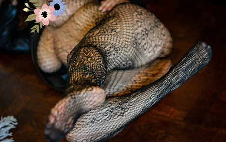 msambarkim hot actress photos