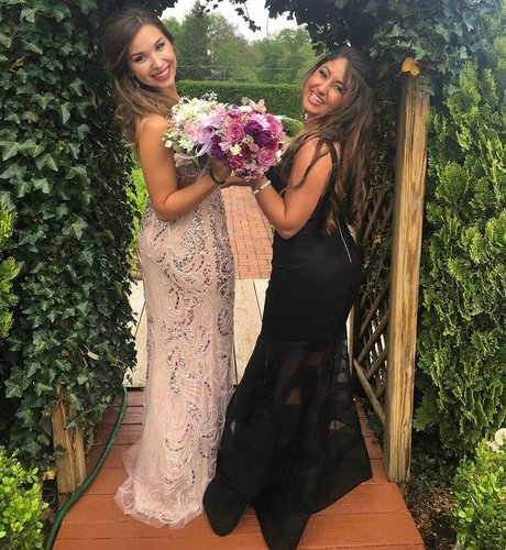 Julia Olivia pornstar art picture