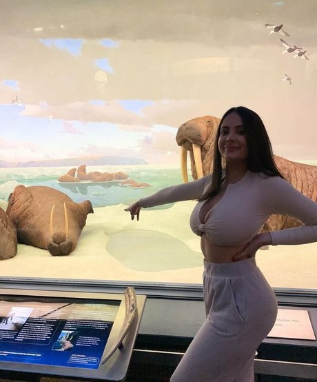 Sannatorr perfect star img