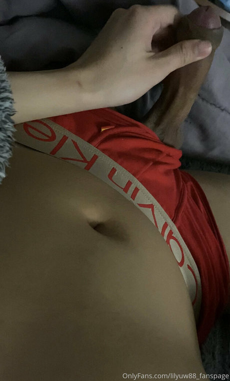 ts lilyuw88 hd star photos