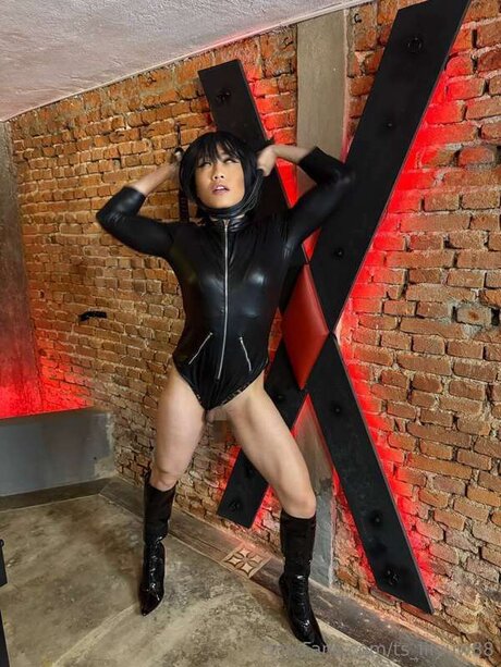 ts lilyuw88 model hd picture