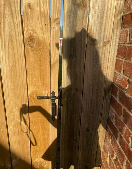 kaylakitsune pretty actress photo