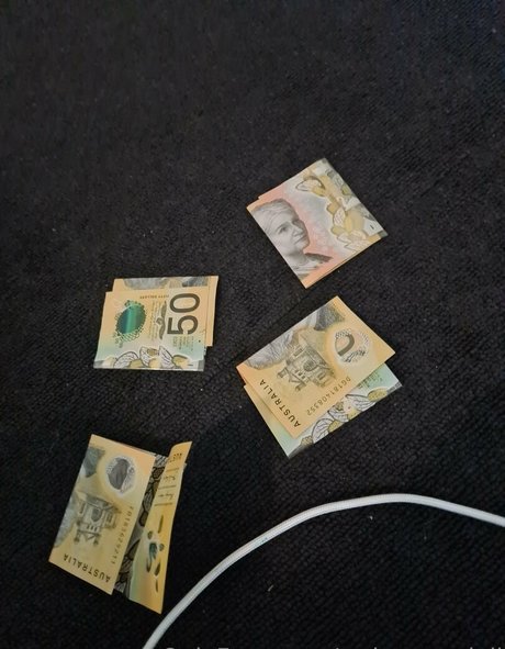 dramatic dumpster free pornstar exclusive archive