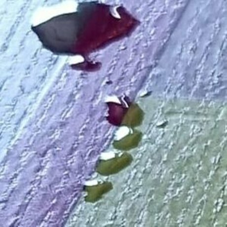 scarlett johnson24 pornstar free pictures