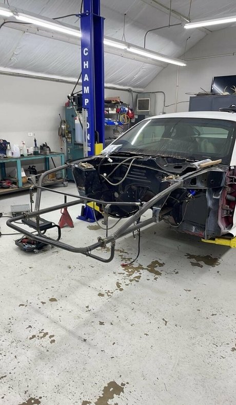 maloriewoods high quality model pic