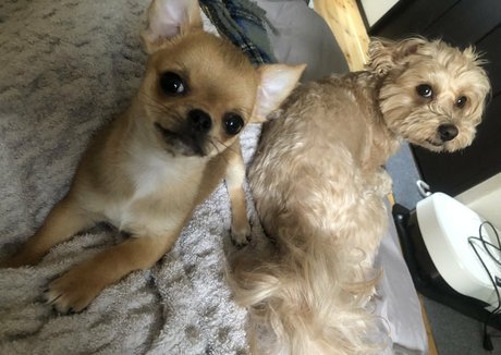 Pchan666 free star pics