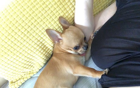 Pchan666 adult star img