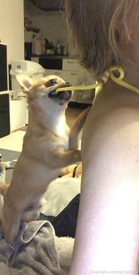 joi free onlyfans pornos picture