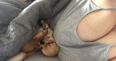 Pchan666 star pretty gallery