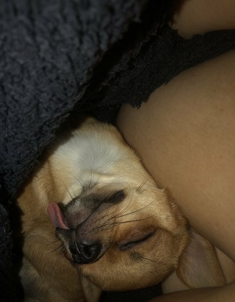 Pchan666 erotic pornstar images