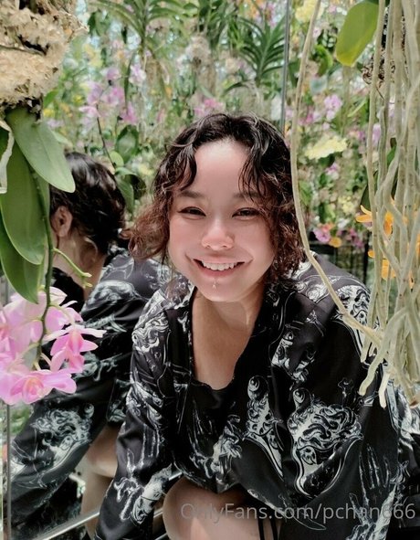 Pchan666 free star pics