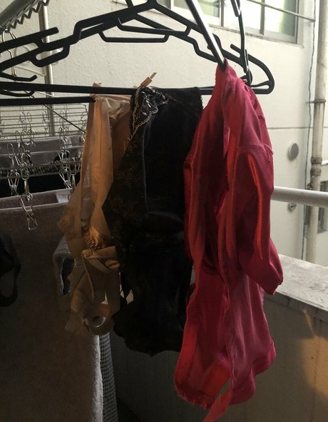 Pchan666 top pornstar picture