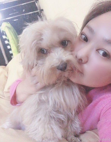 Pchan666 model hot galleries