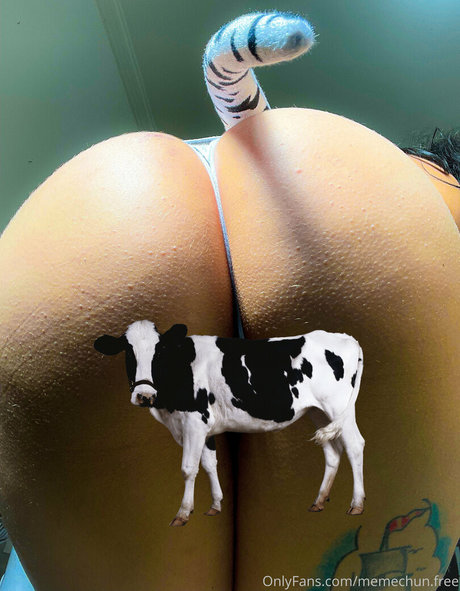 memechunn pornstar sex gallery