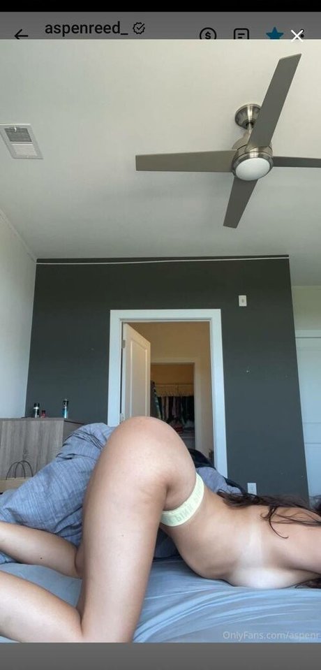 Aspen Reed porn actress archive