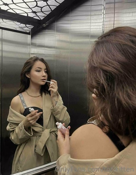 torikitten star free images