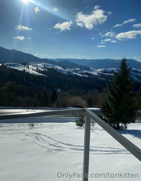 torikitten star adult images