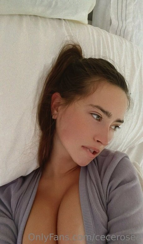 cecerosee star art galleries