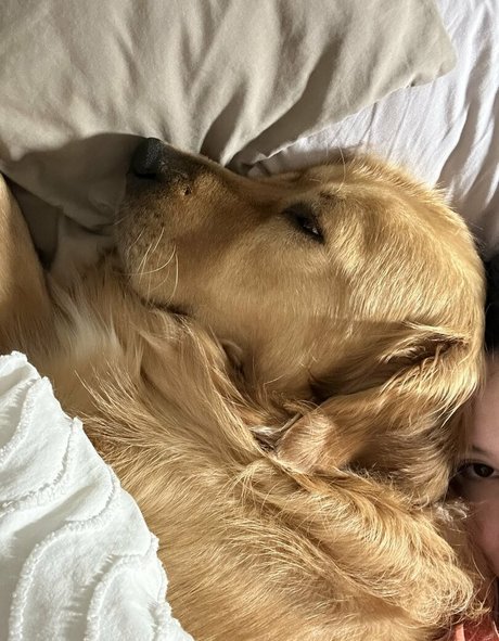 kittncore model art galleries