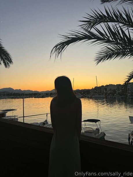 Sally Ride art pornstar img