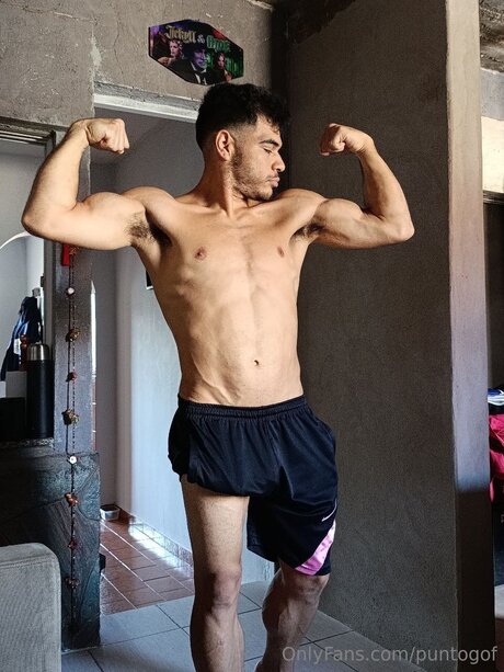 Puntogof star erotic images