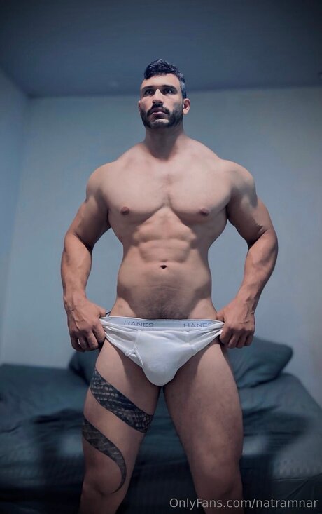 Natramnar high quality model archive