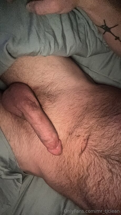 Mr Tjclean pornographic star pic