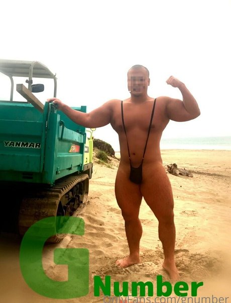 gnumber sexy star picture