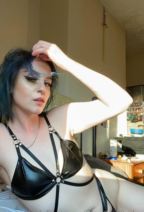 freeang3lbaby nice star galleries