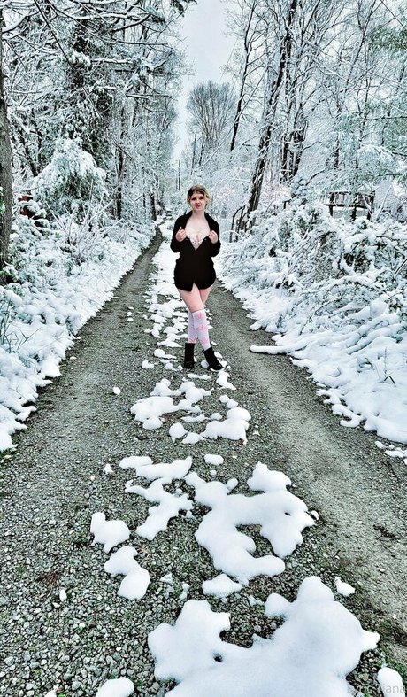 lyrictiana perfect star picture