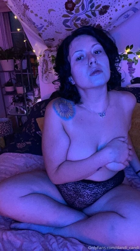 dandi candi art star galleries