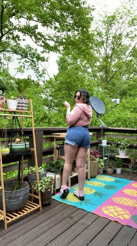 dandi candi model hd archive