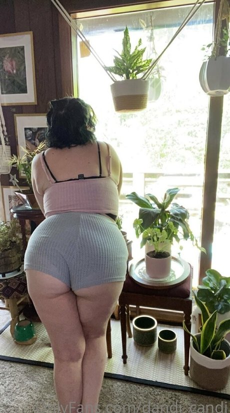 dandi candi nudes model photo