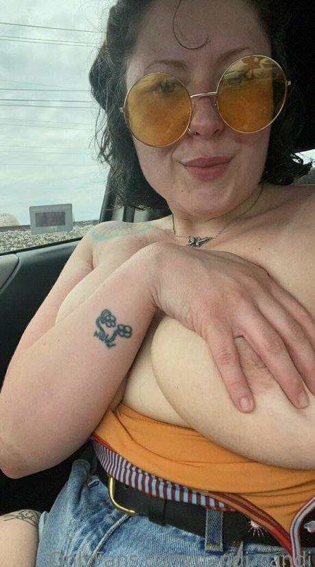 dandi candi star nice galleries