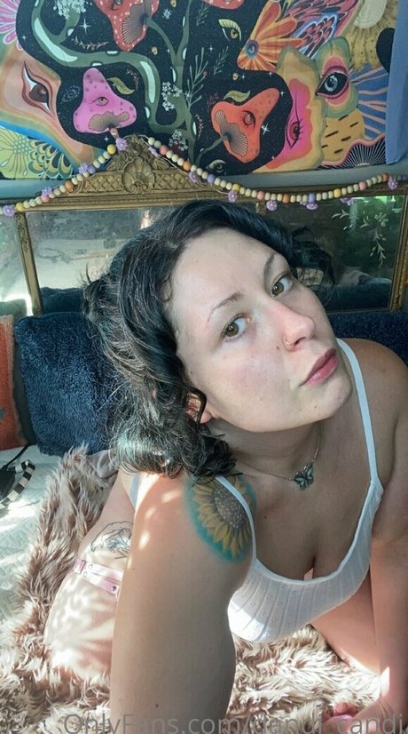 dandi candi xxx model images