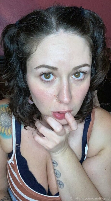 dandi candi top star pictures