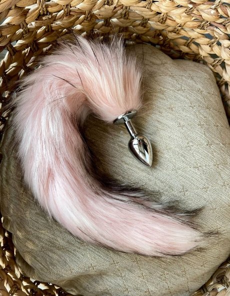 aryafaye best star pics