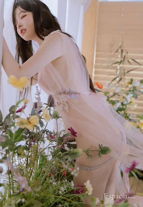 Espacia Korea star perfect image